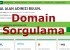 Domain Sorgulama